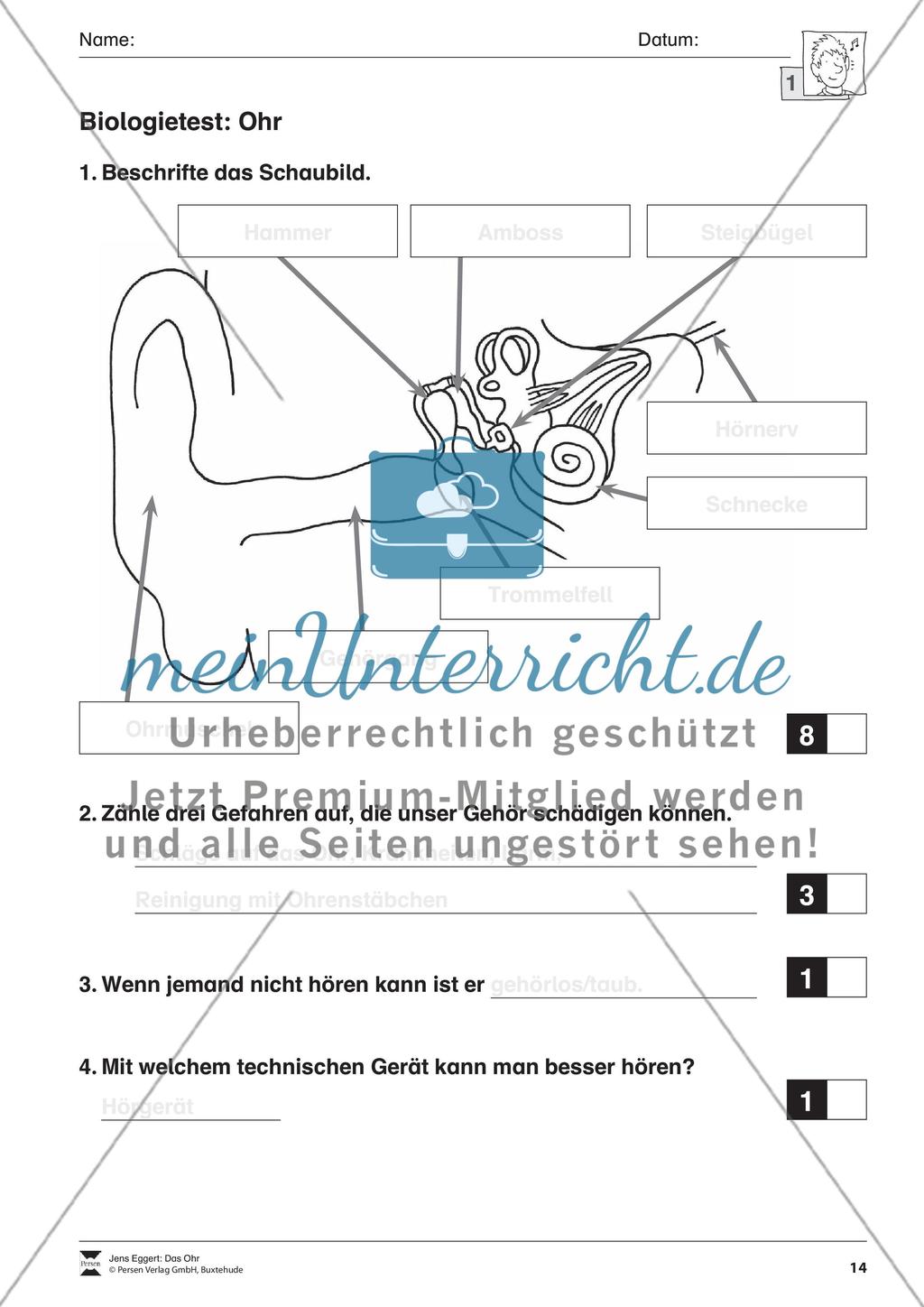 Das Ohr Preview 15