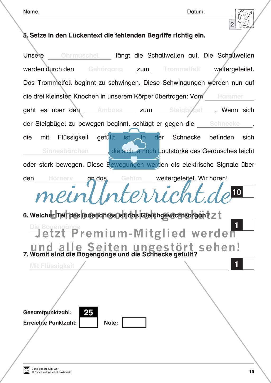 Das Ohr Preview 16