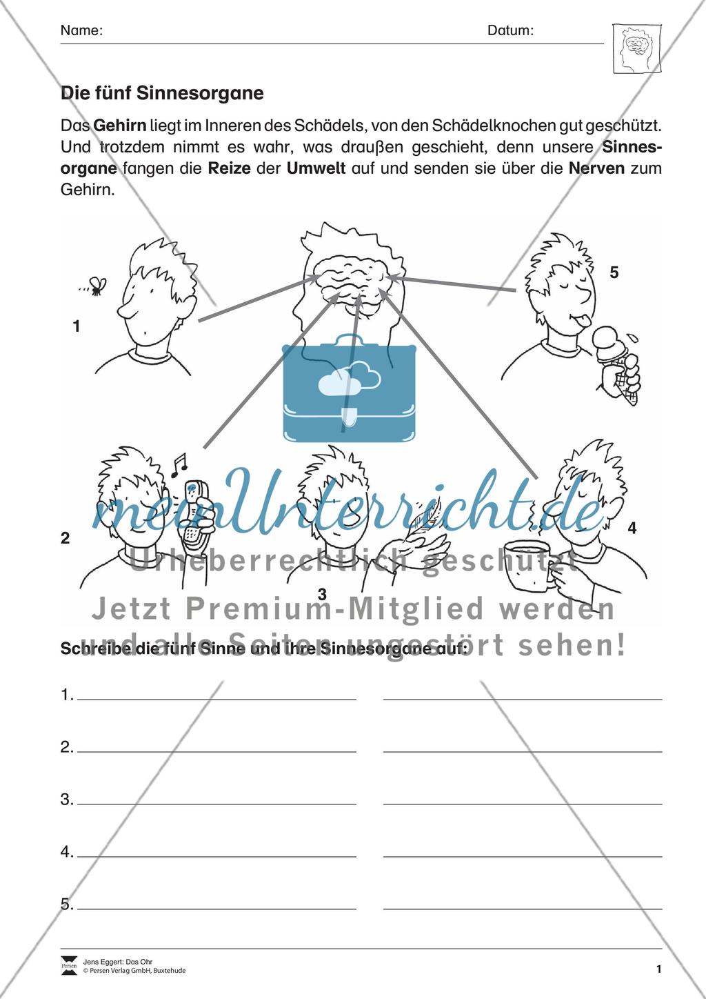 Das Ohr Preview 2