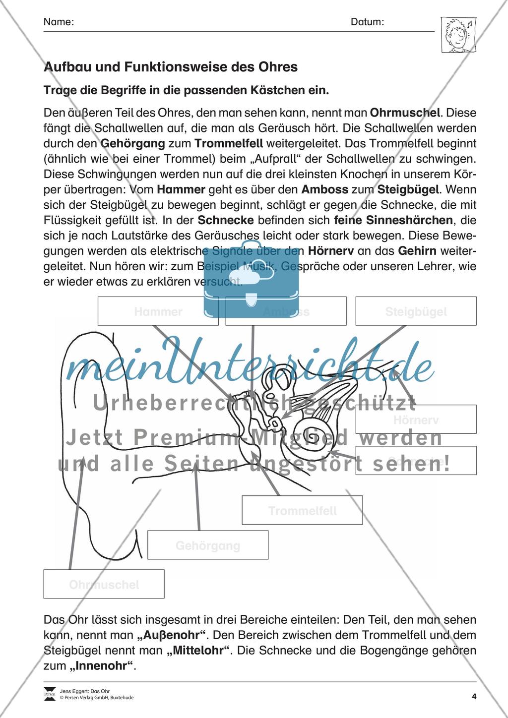 Das Ohr Preview 5