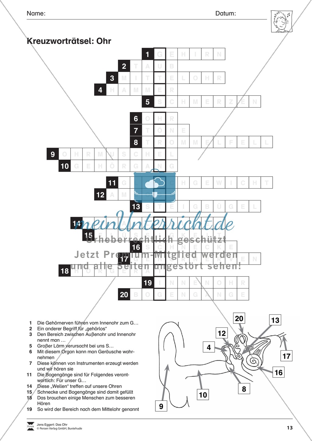 Kreuzworträtsel Ohr: Arbeitsblatt Preview 1