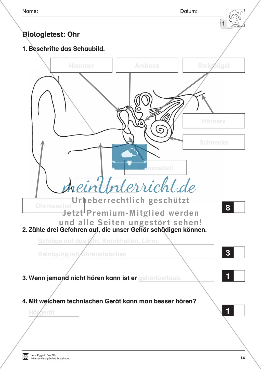 Biologietest Ohr: Arbeitsblätter Preview 1