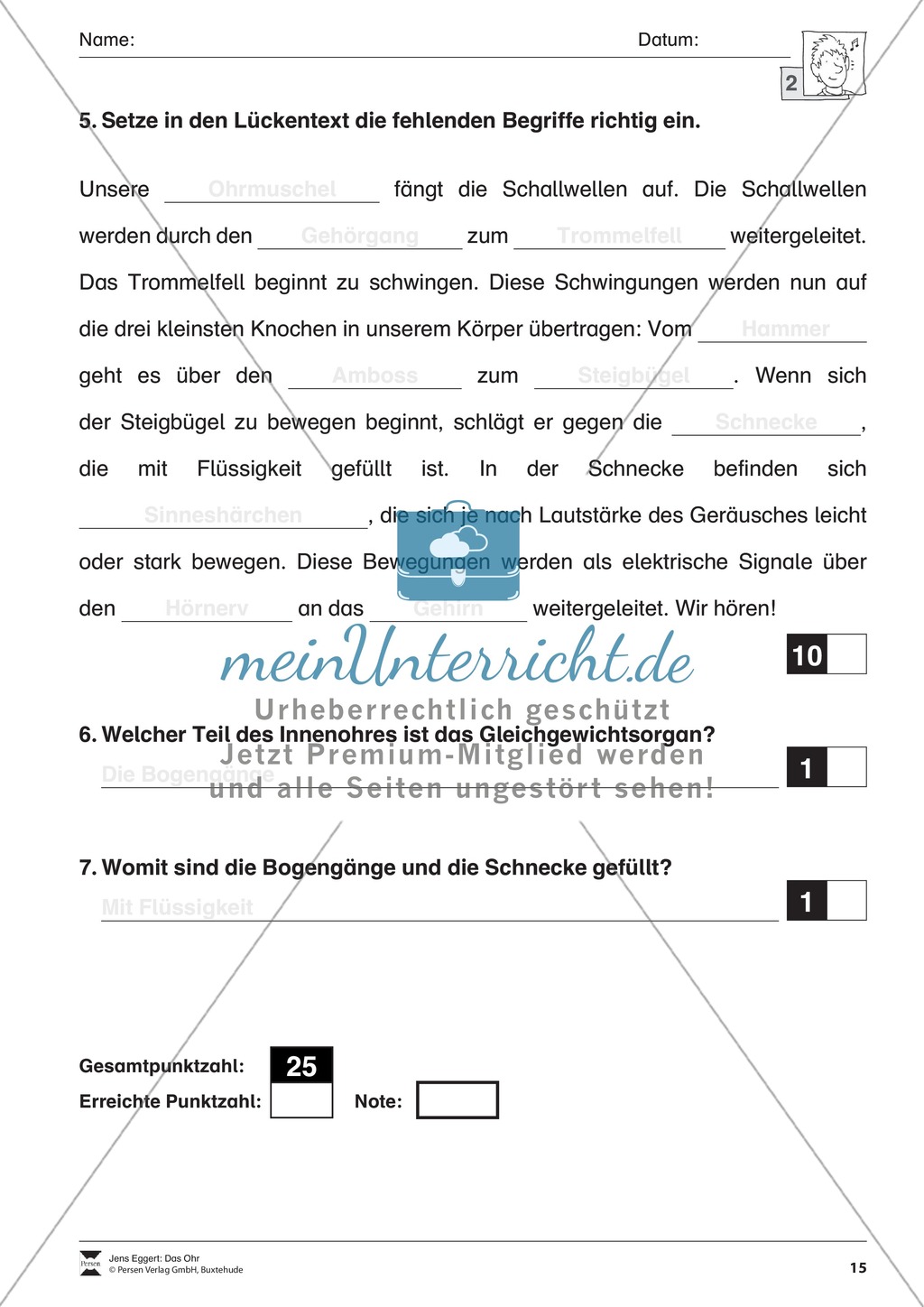 Biologietest Ohr: Arbeitsblätter Preview 2