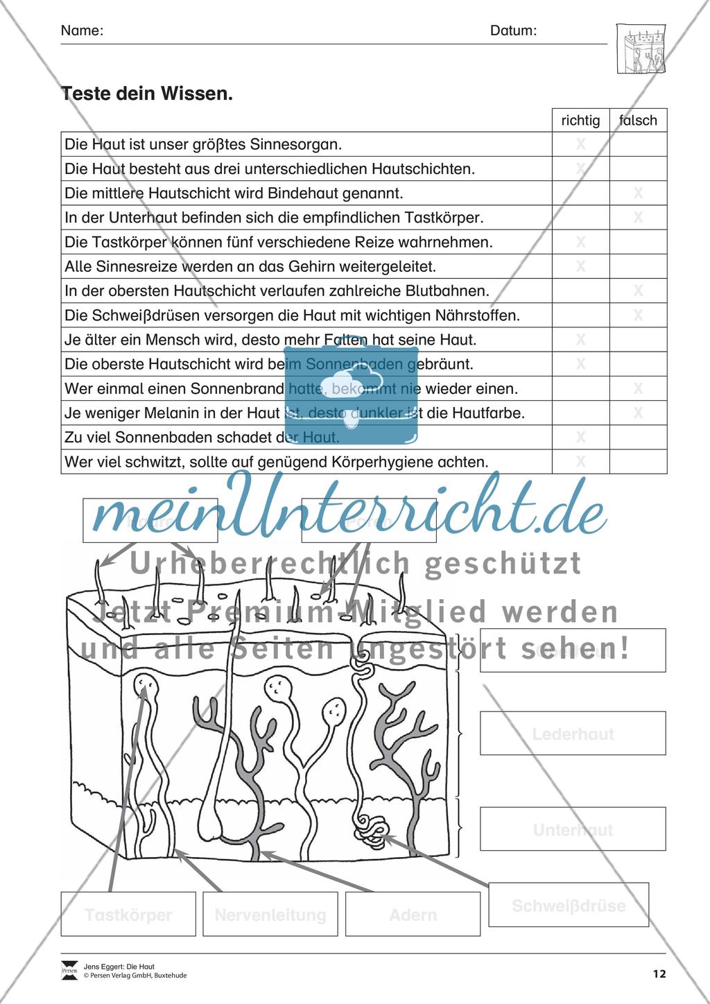 Die Haut Preview 13