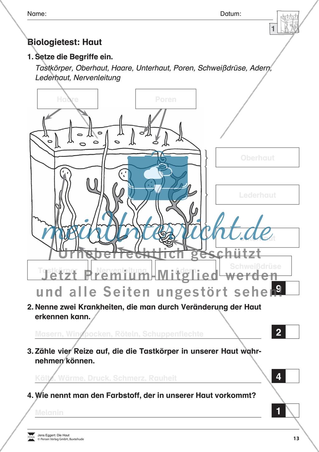 Die Haut Preview 14
