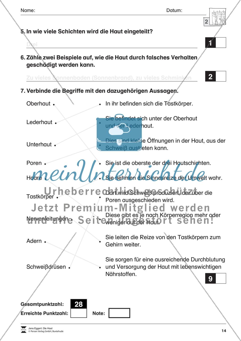 Die Haut Preview 15