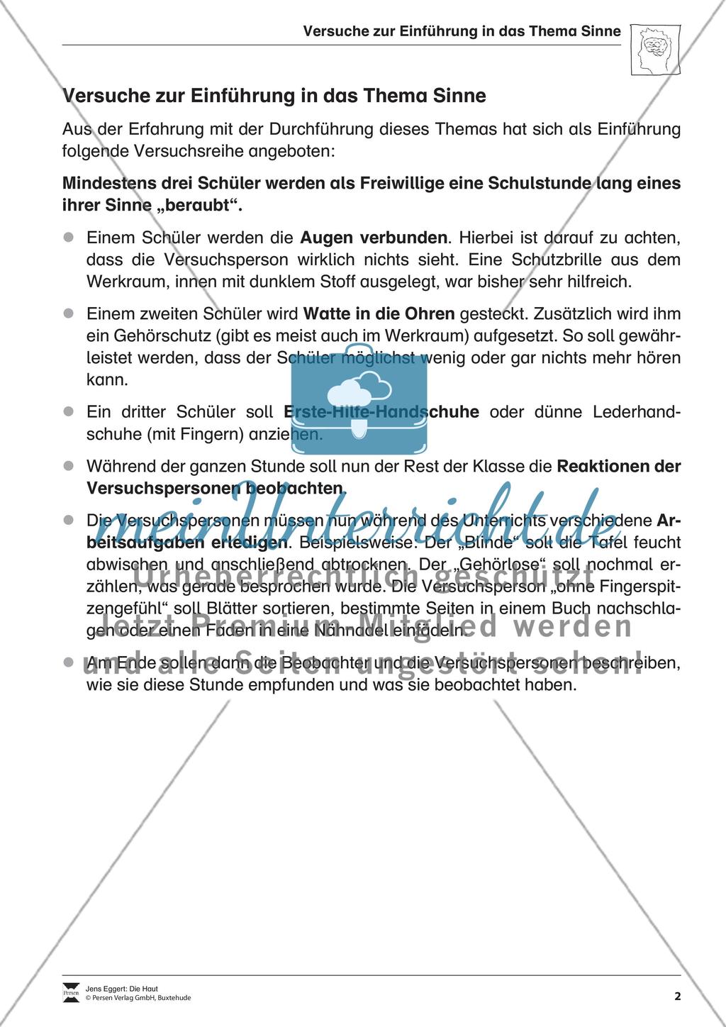 Die Haut Preview 3