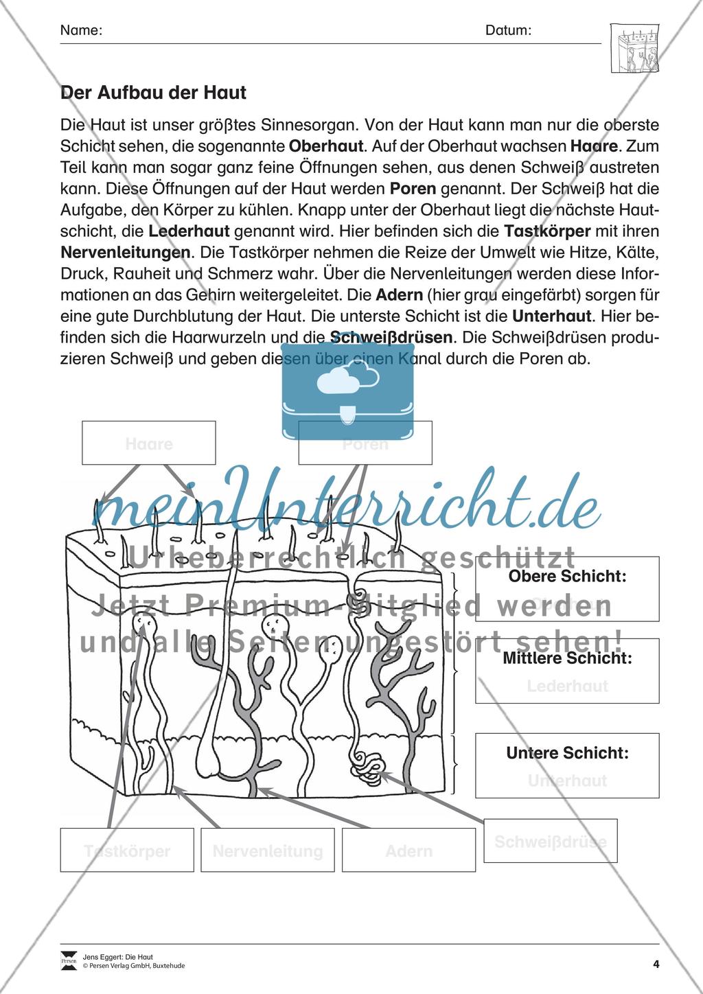 Die Haut Preview 5