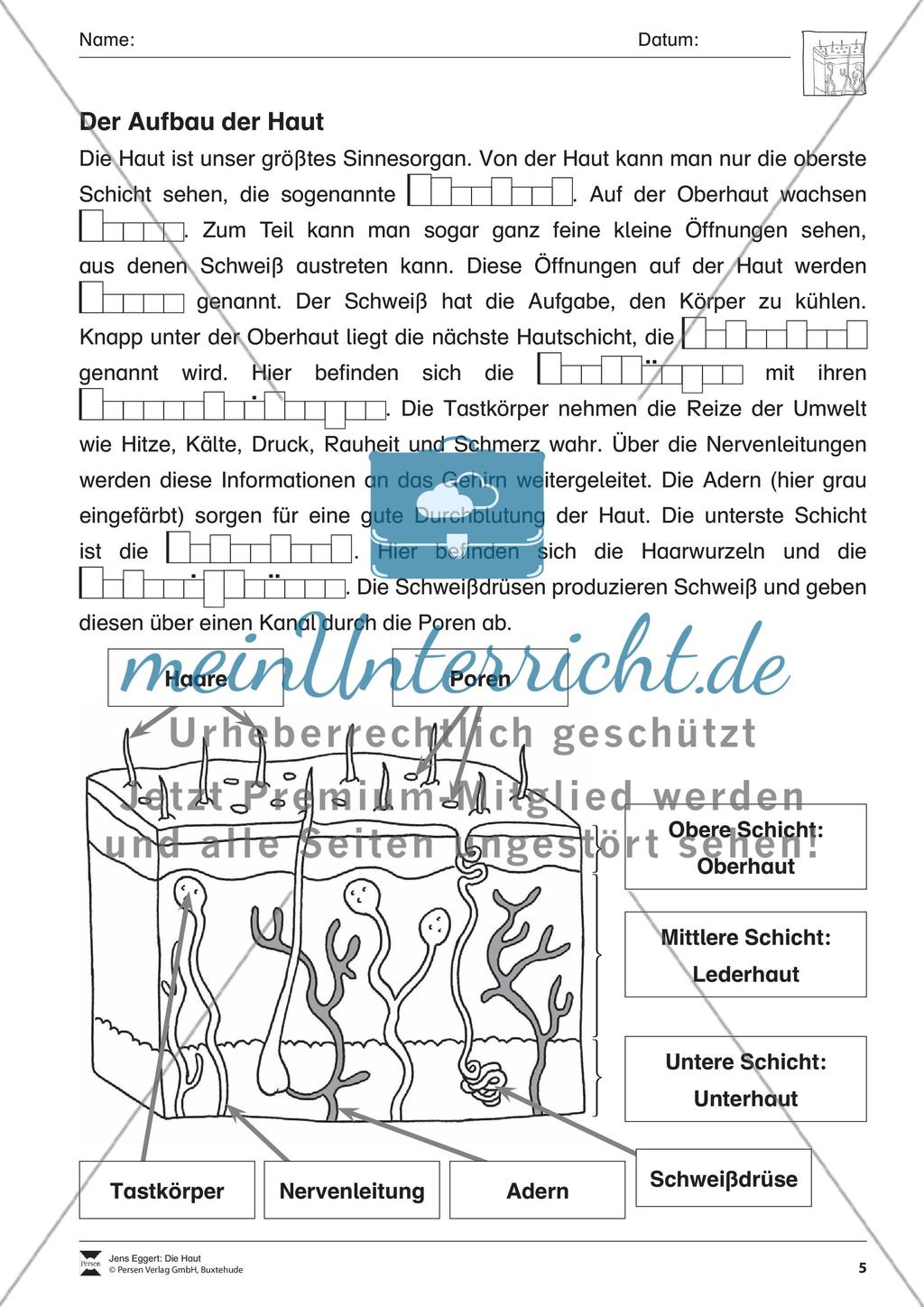 Die Haut Preview 6