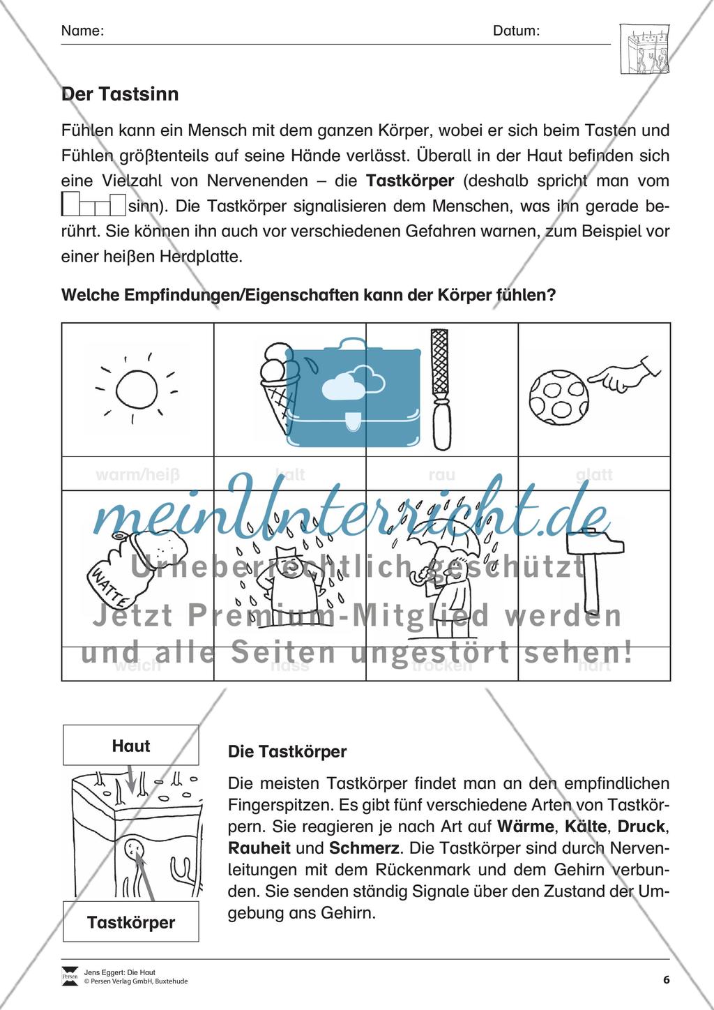 Die Haut Preview 7