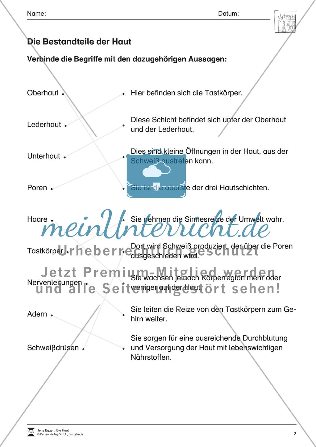 Die Haut Preview 8