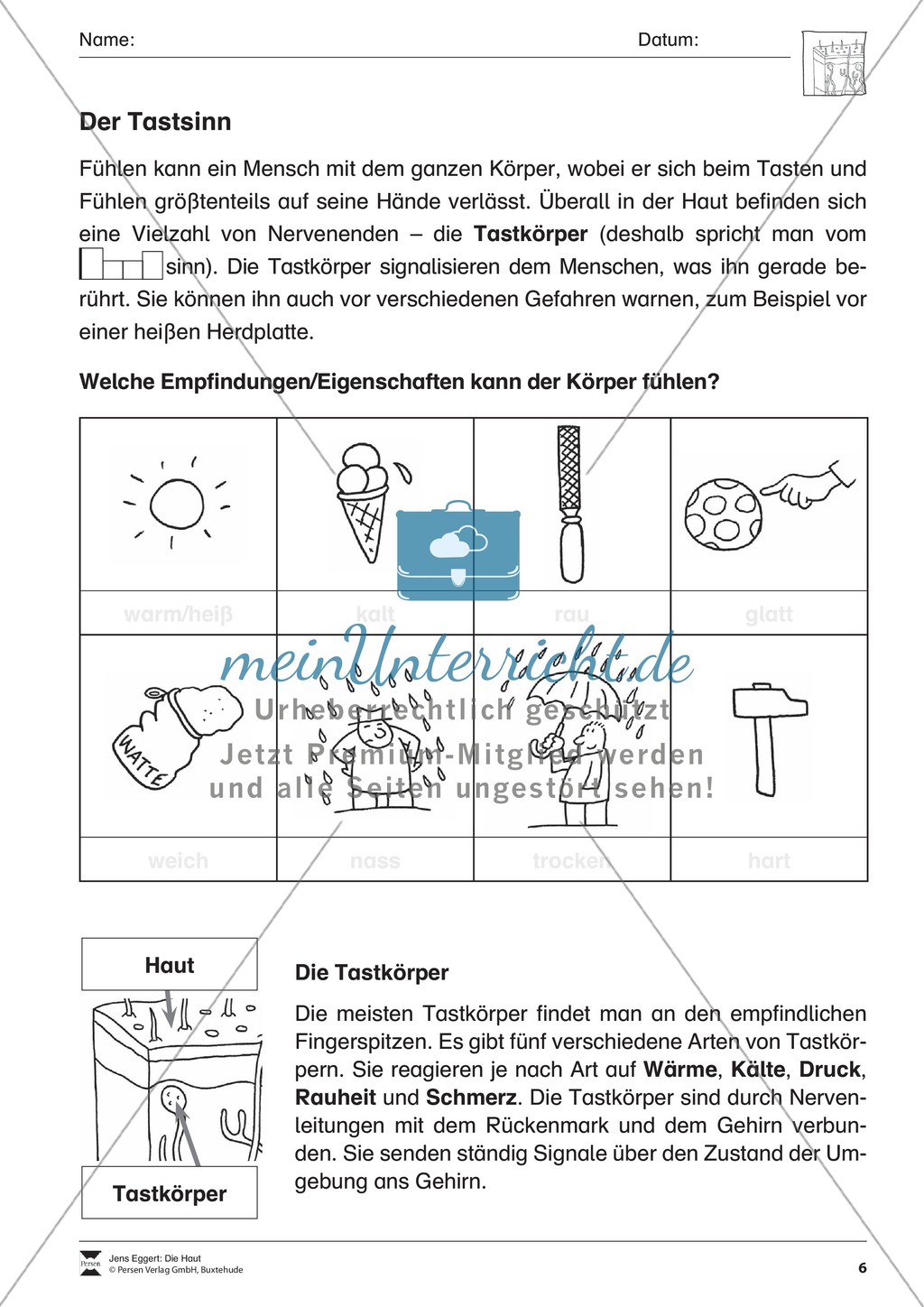 Der Tastsinn: Arbeitsblatt Preview 1