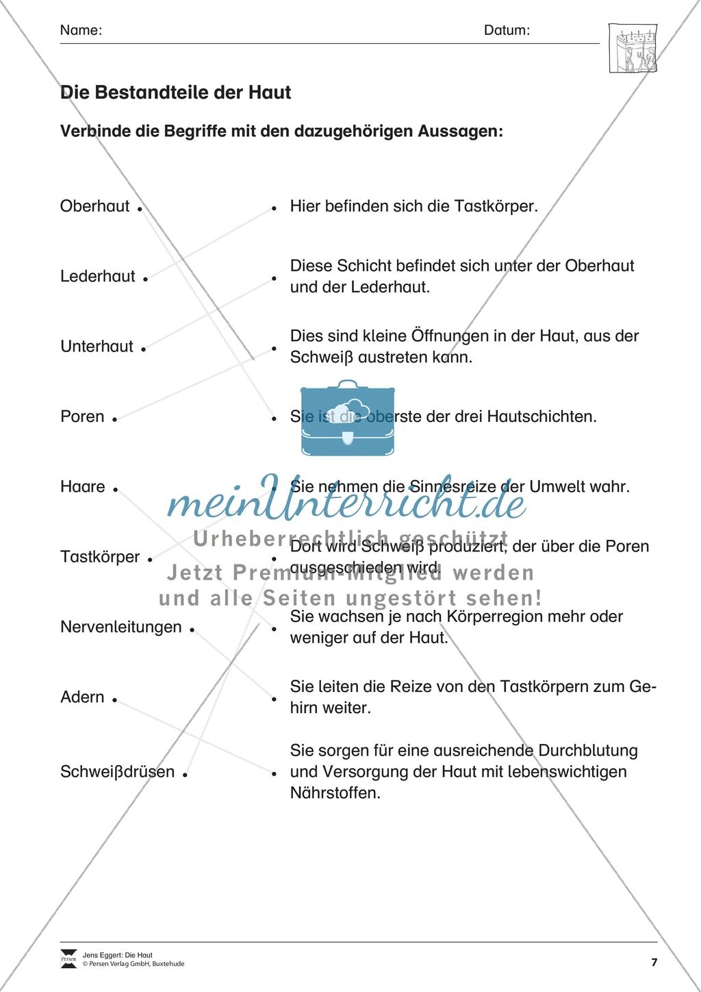 Bestandteile der Haut: Arbeitsblatt Preview 1