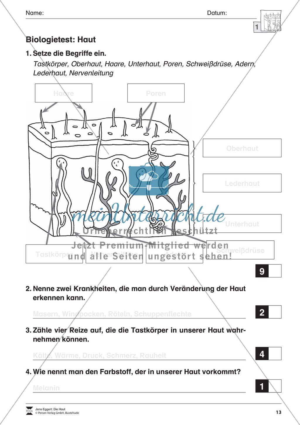 Biologietest Haut: Arbeitsblätter Preview 1