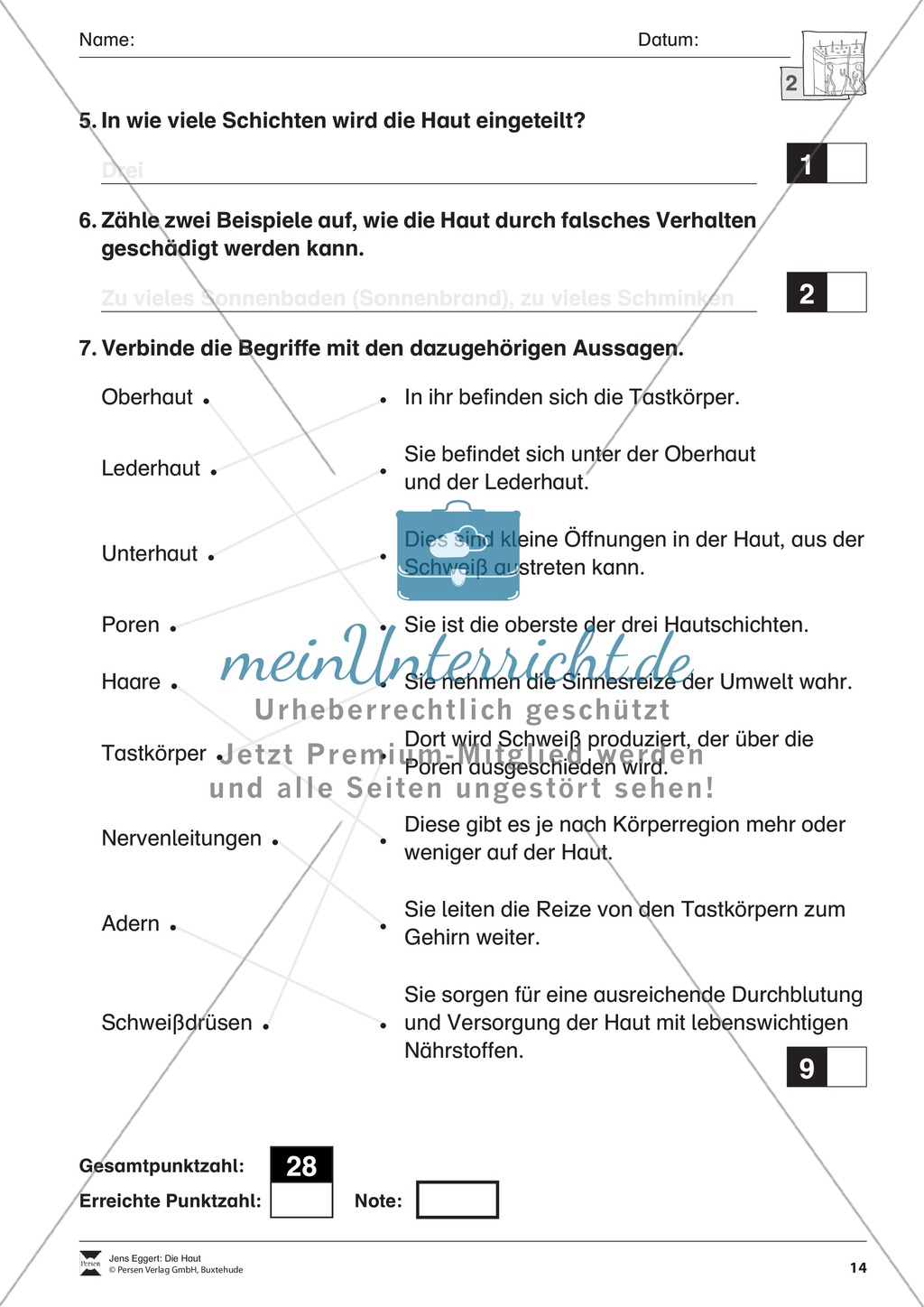 Biologietest Haut: Arbeitsblätter Preview 2