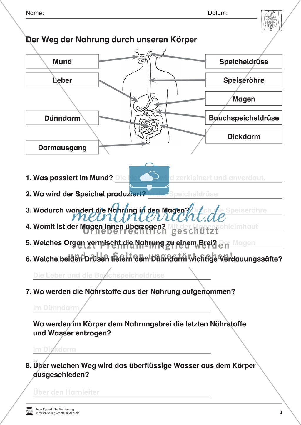Verdauung: Überblick und Übung Preview 3