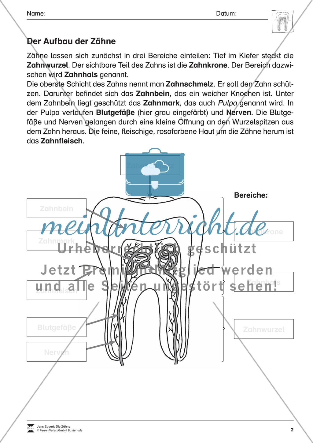 Die Zähne Preview 3