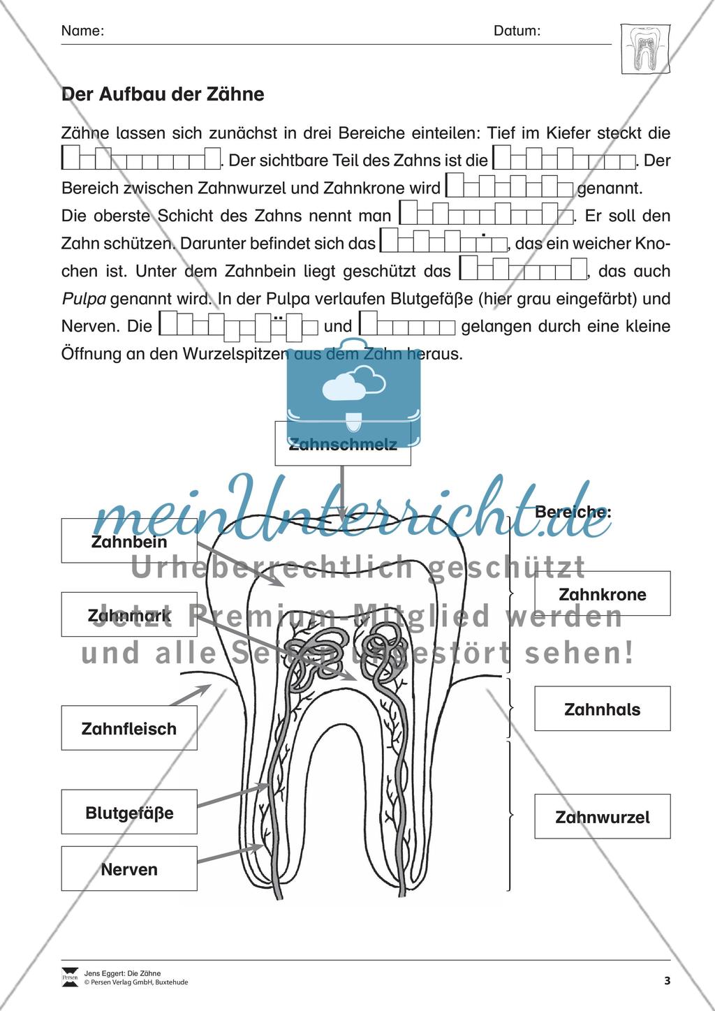 Die Zähne Preview 4