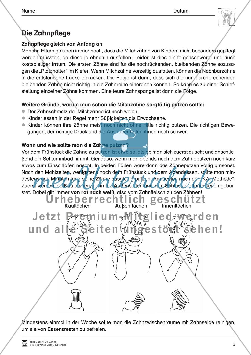 Die Zähne Preview 6