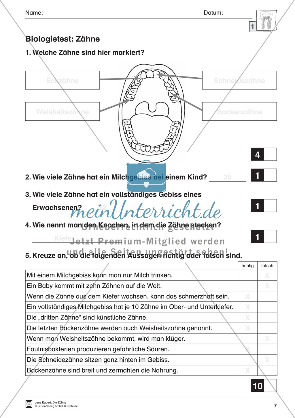 Biologietest Zähne: Übungen Preview 1