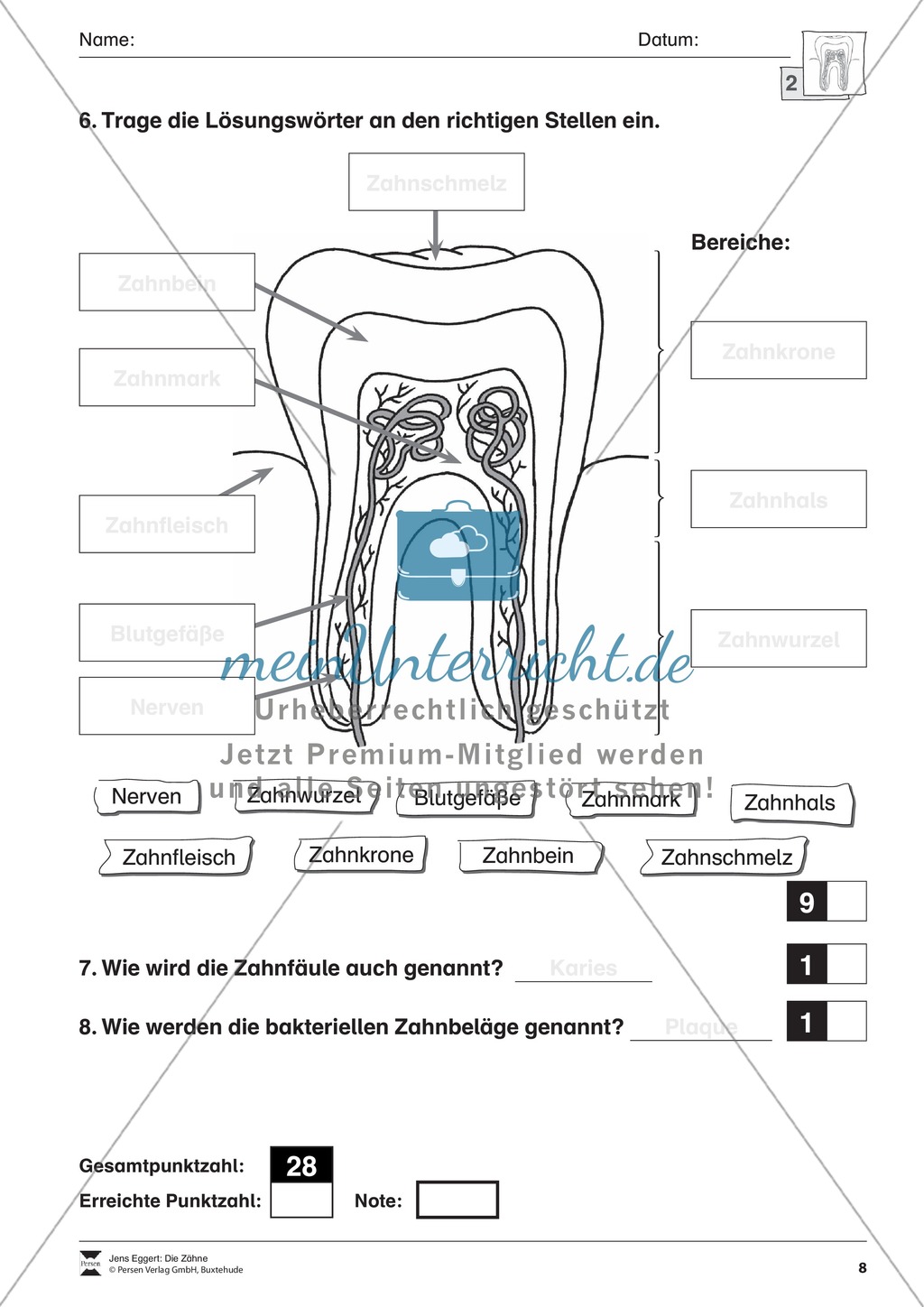 Biologietest Zähne: Übungen Preview 2