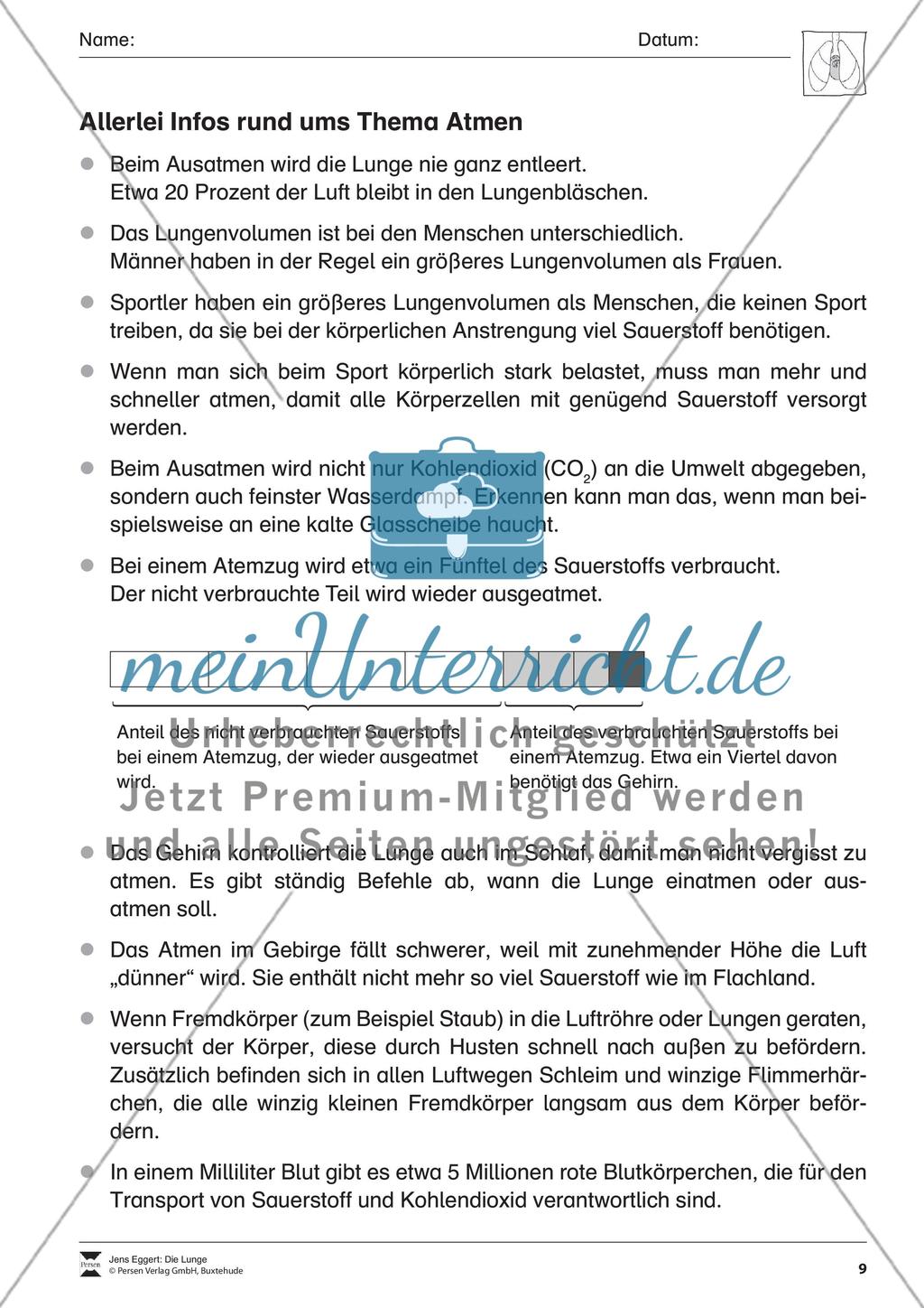 Die Lunge Preview 10
