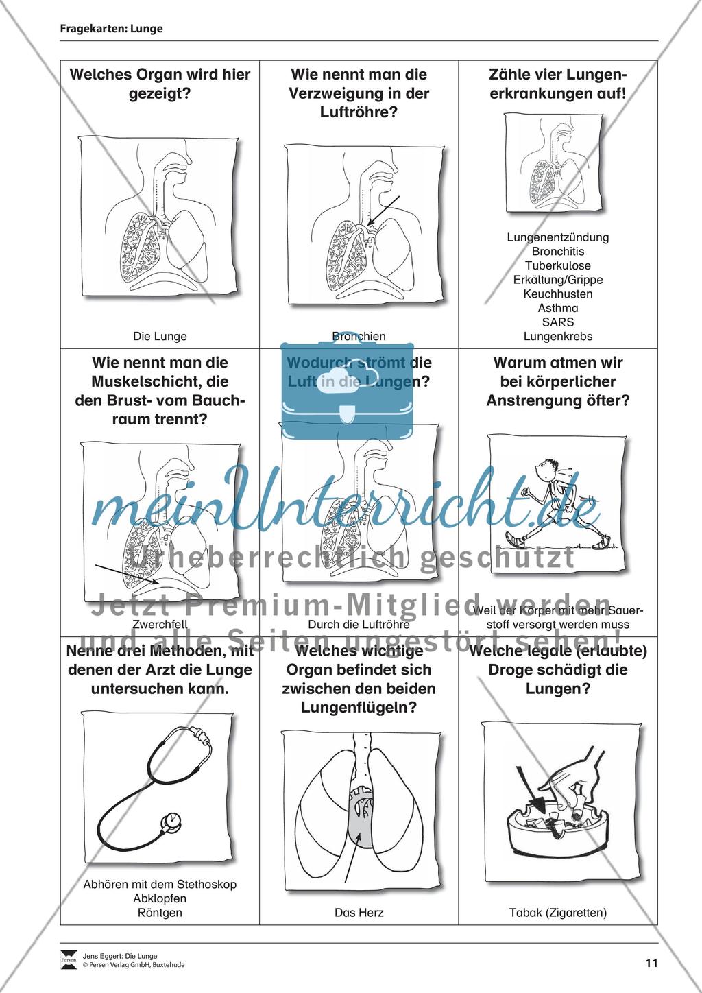 Die Lunge Preview 12
