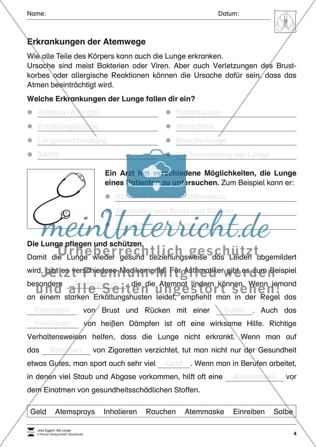 Die Lunge Preview 5