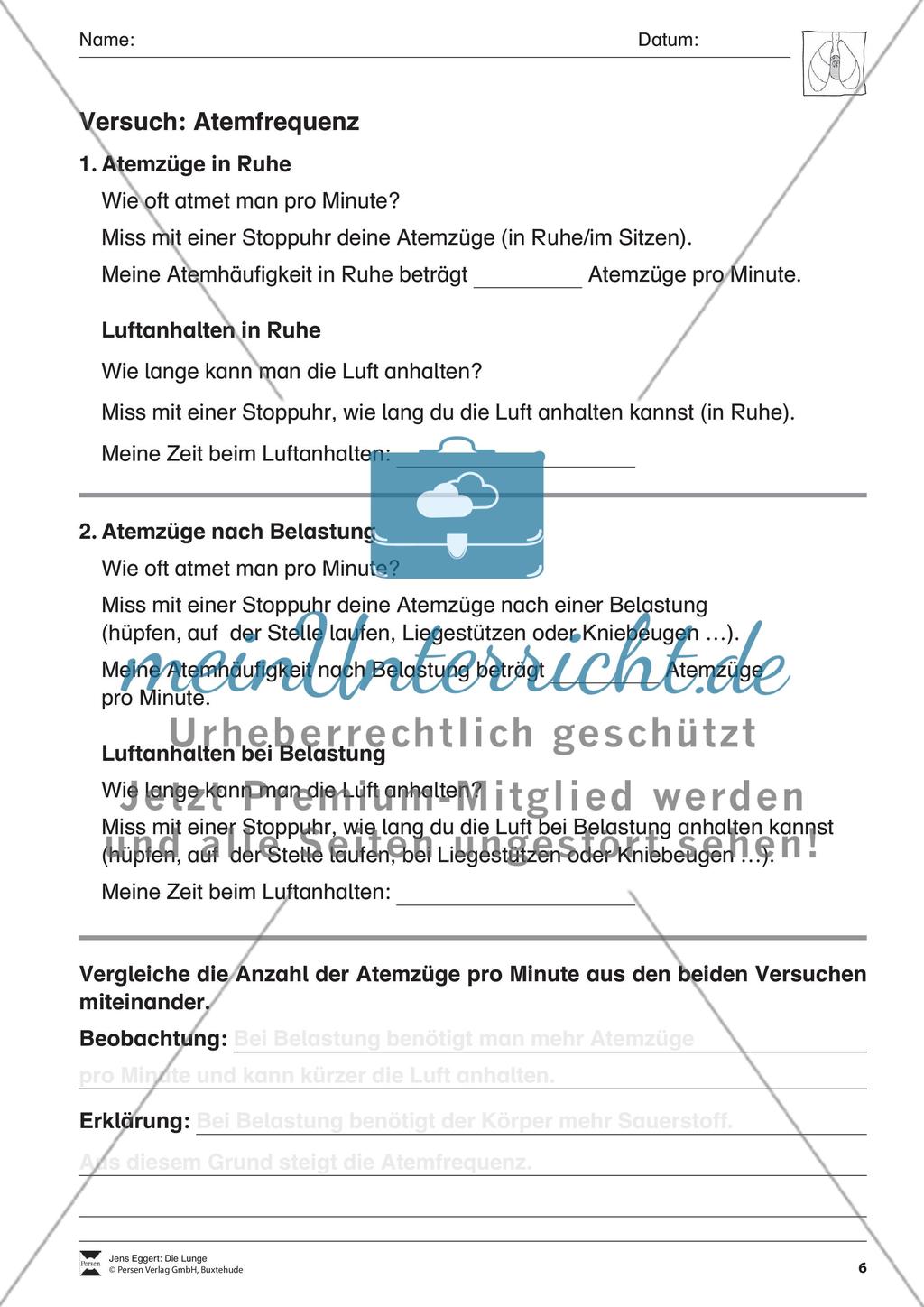 Die Lunge Preview 7