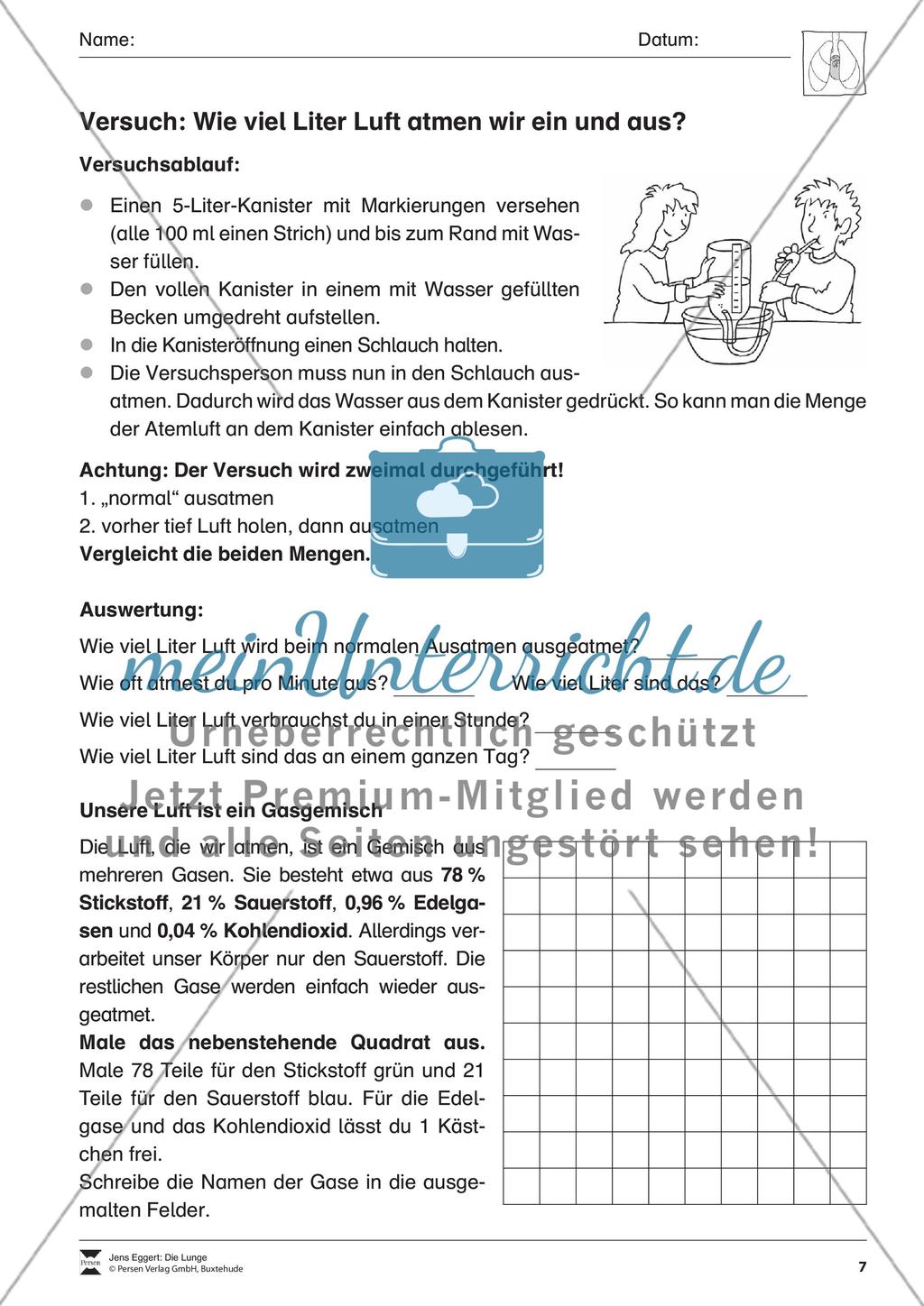 Die Lunge Preview 8