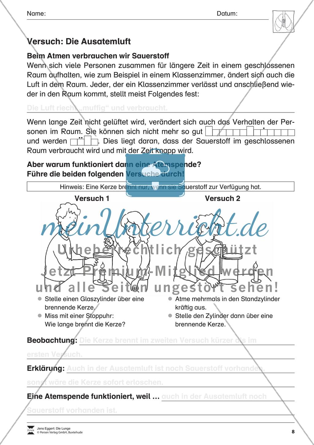 Die Lunge Preview 9