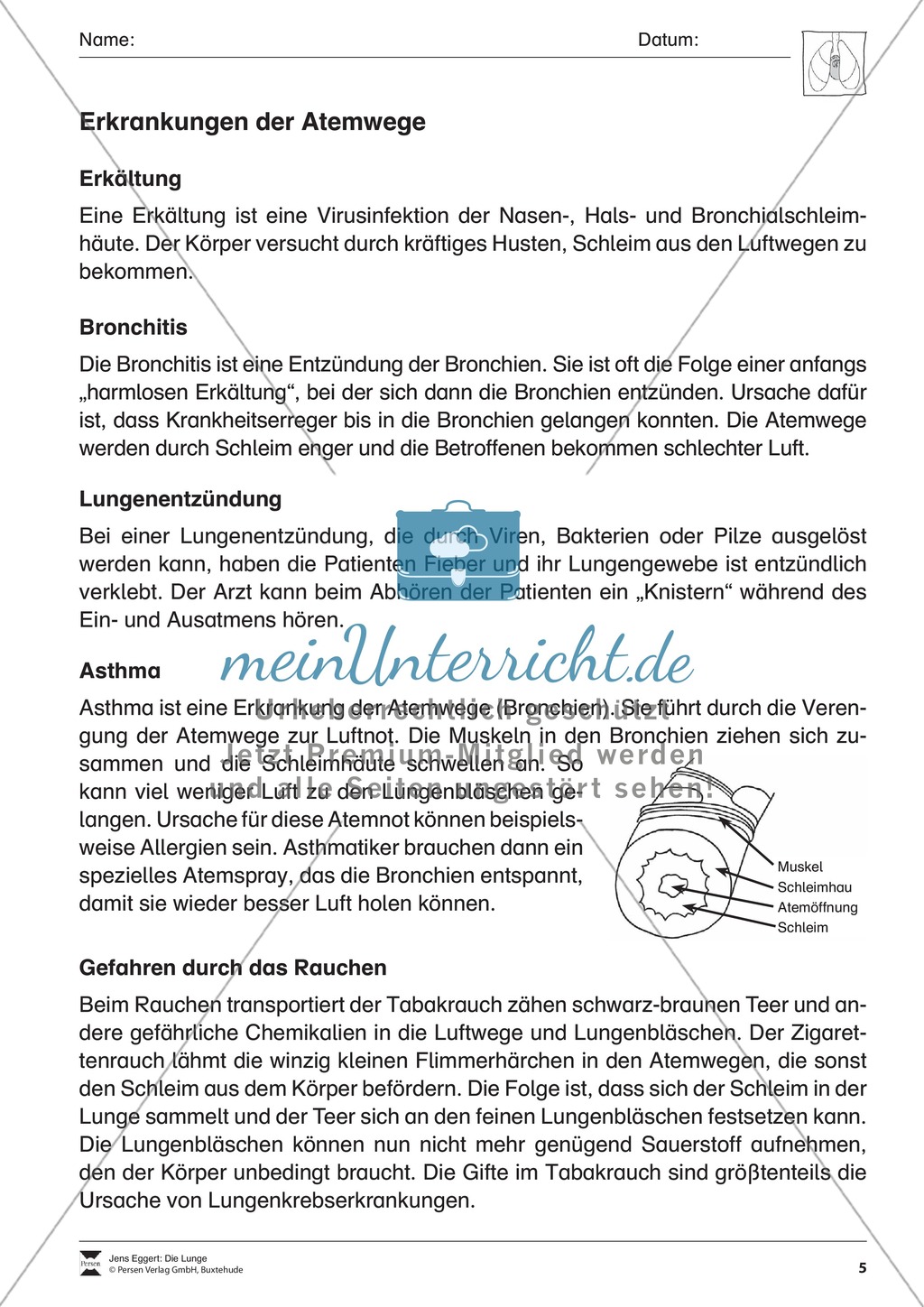 Erkrankungen der Atemwege Preview 2