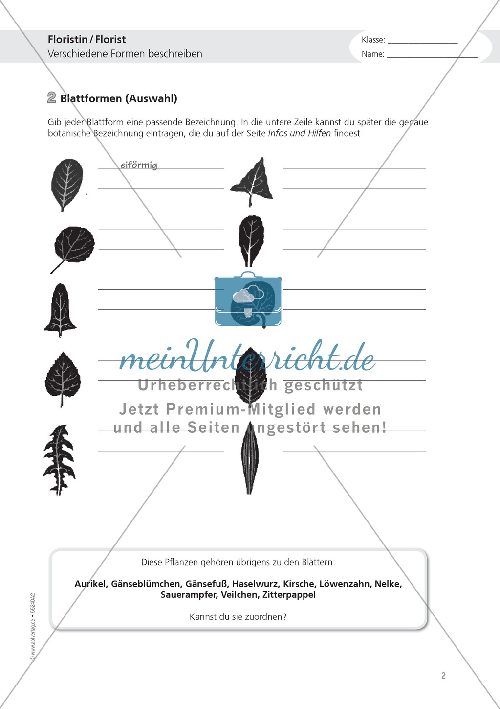Berufe - Florist / in: Blattformen beschreiben - Aufgabe + Hilfe Preview 1