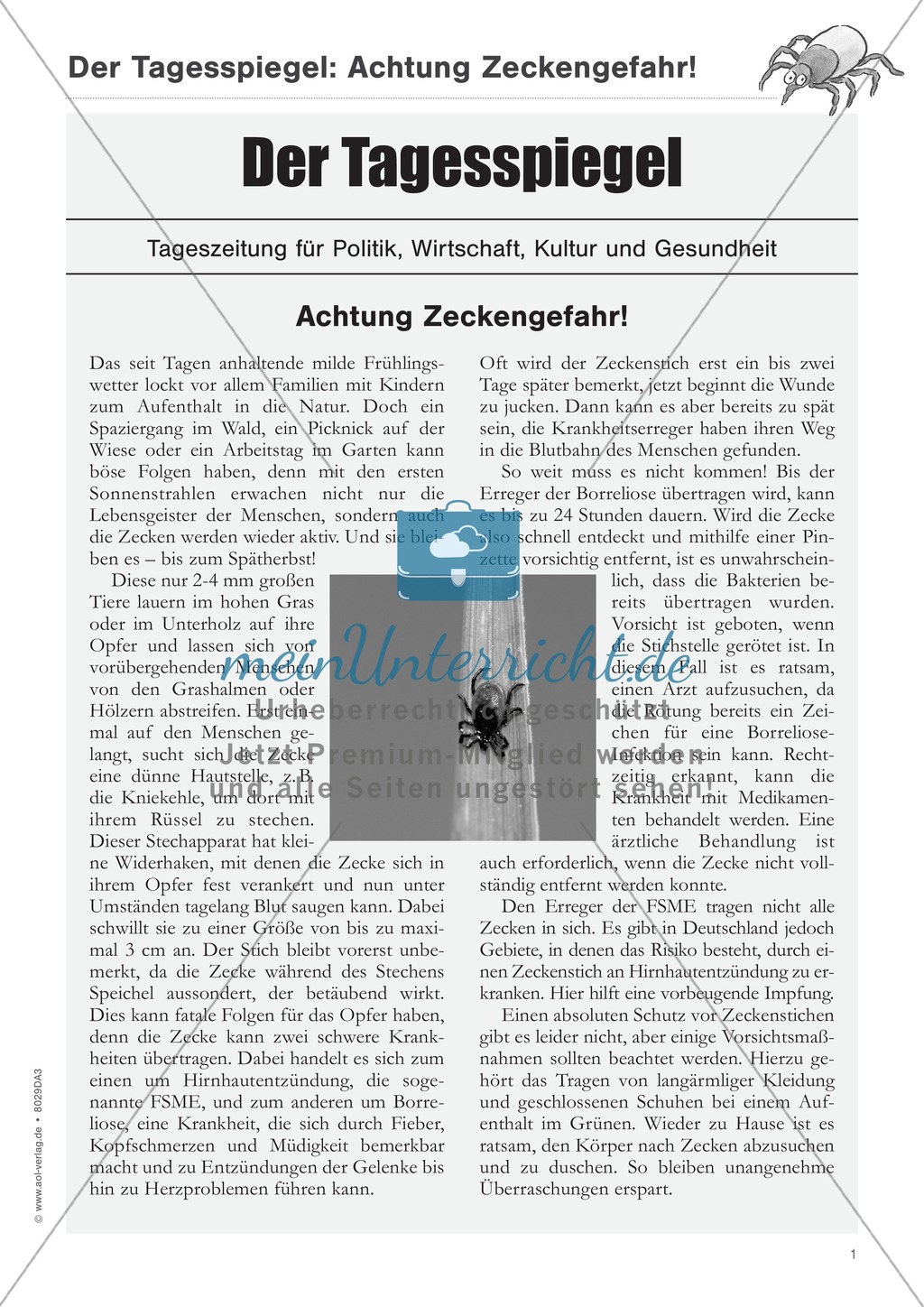 Zeitungsartikel verstehen: Text + Übungen + Lösungen schwer Preview 1