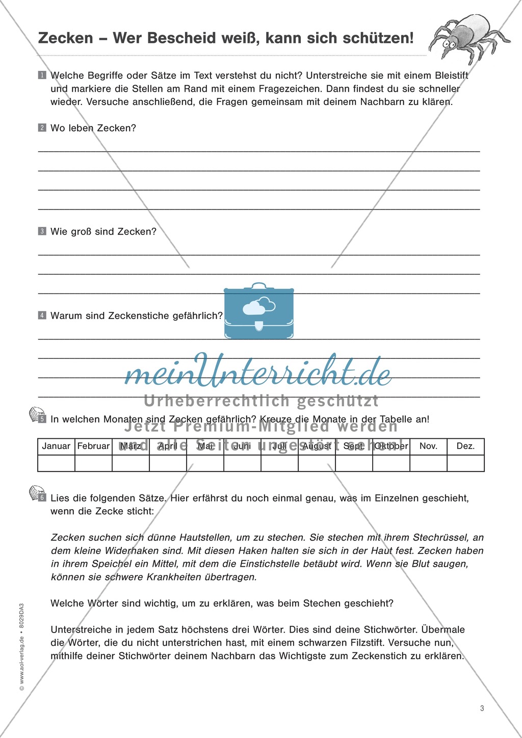 Zeitungsartikel verstehen: Text + Übungen + Lösungen schwer Preview 2