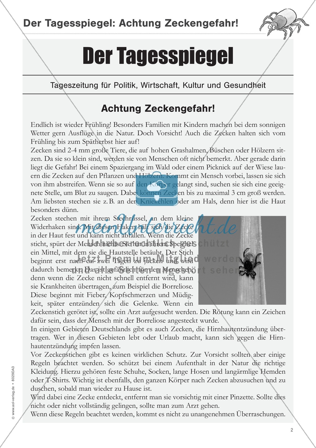 Sachtexte verstehen: Der Zeitungsartikel Preview 2