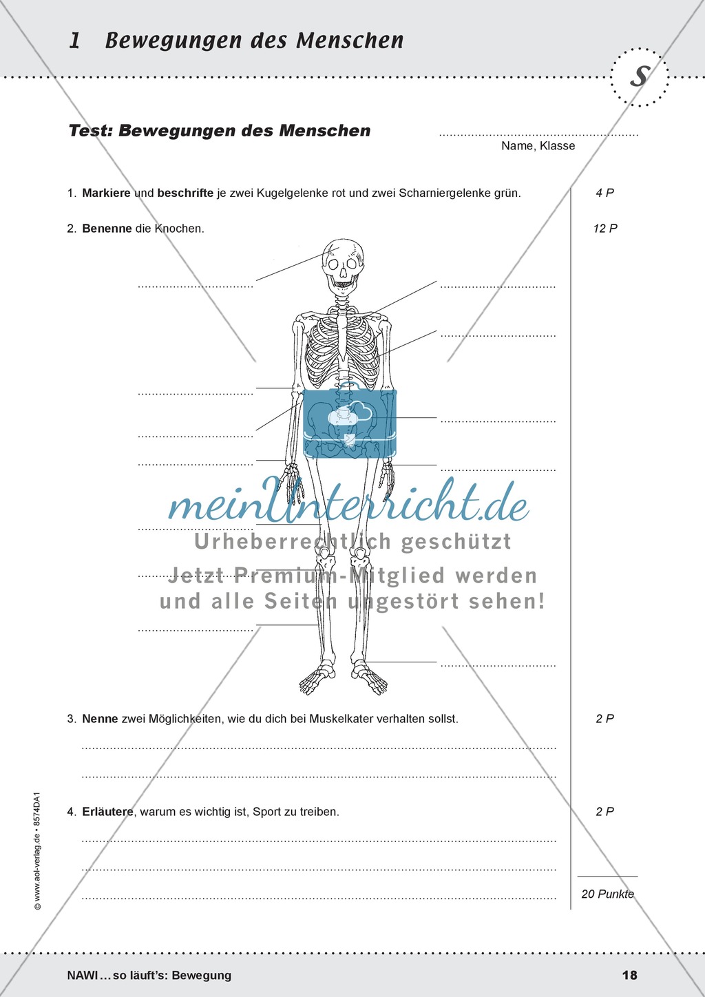 Bewegungen des Menschen: Test + Lösung Preview 2