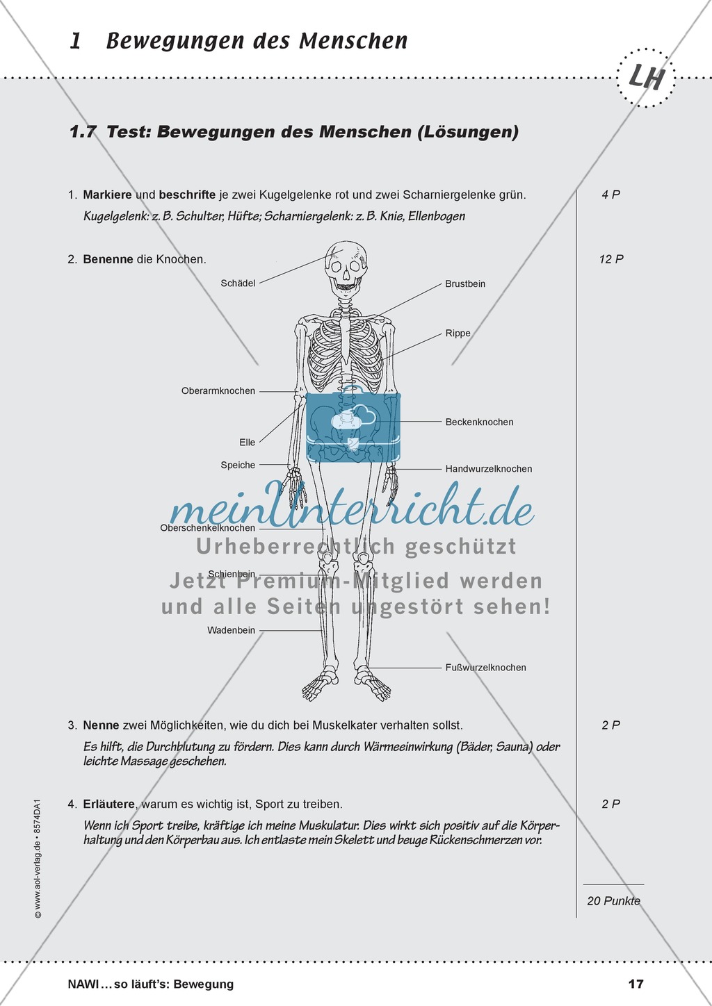 Die Bewegung des Menschen: Lehrerübersicht, Schülermaterial, didaktische Konzeption, Test Preview 17