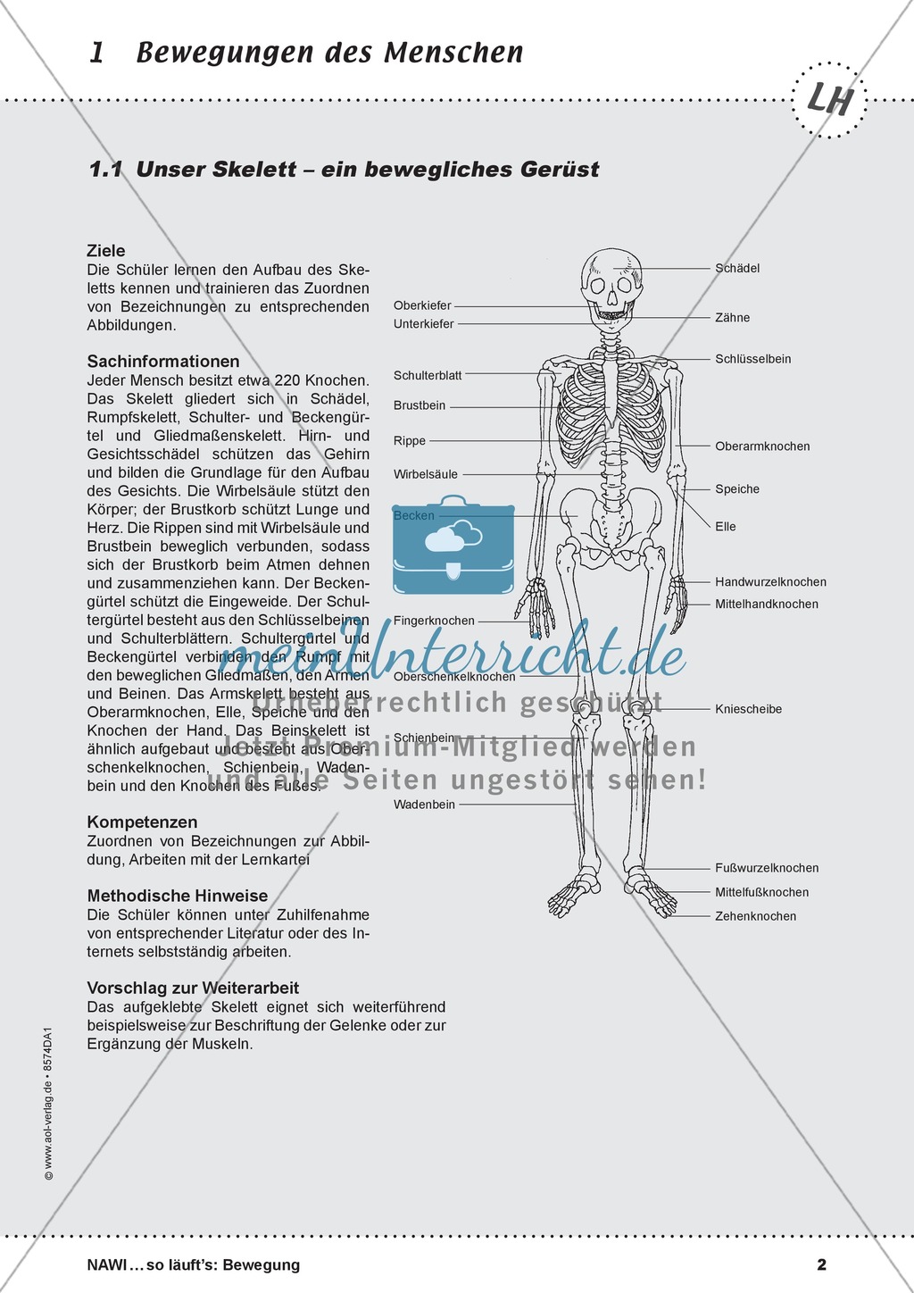 Die Bewegung des Menschen: Lehrerübersicht, Schülermaterial, didaktische Konzeption, Test Preview 2