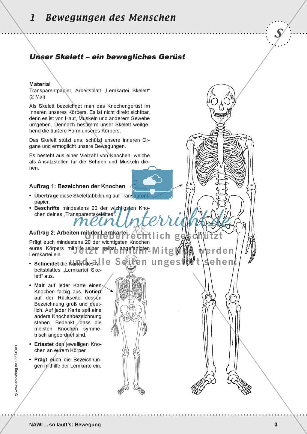 Die Bewegung des Menschen: Lehrerübersicht, Schülermaterial, didaktische Konzeption, Test Preview 3