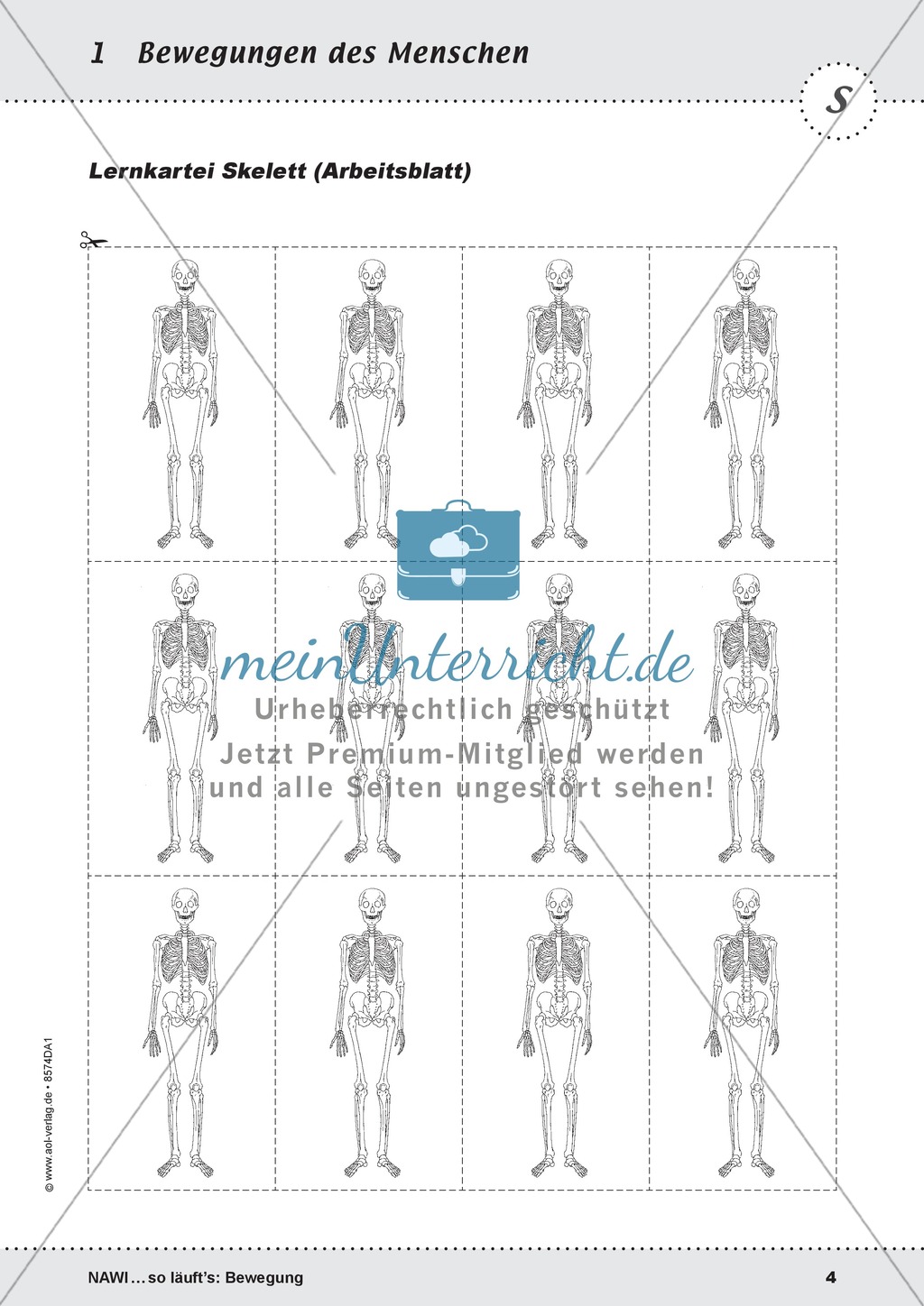 Die Bewegung des Menschen: Lehrerübersicht, Schülermaterial, didaktische Konzeption, Test Preview 4