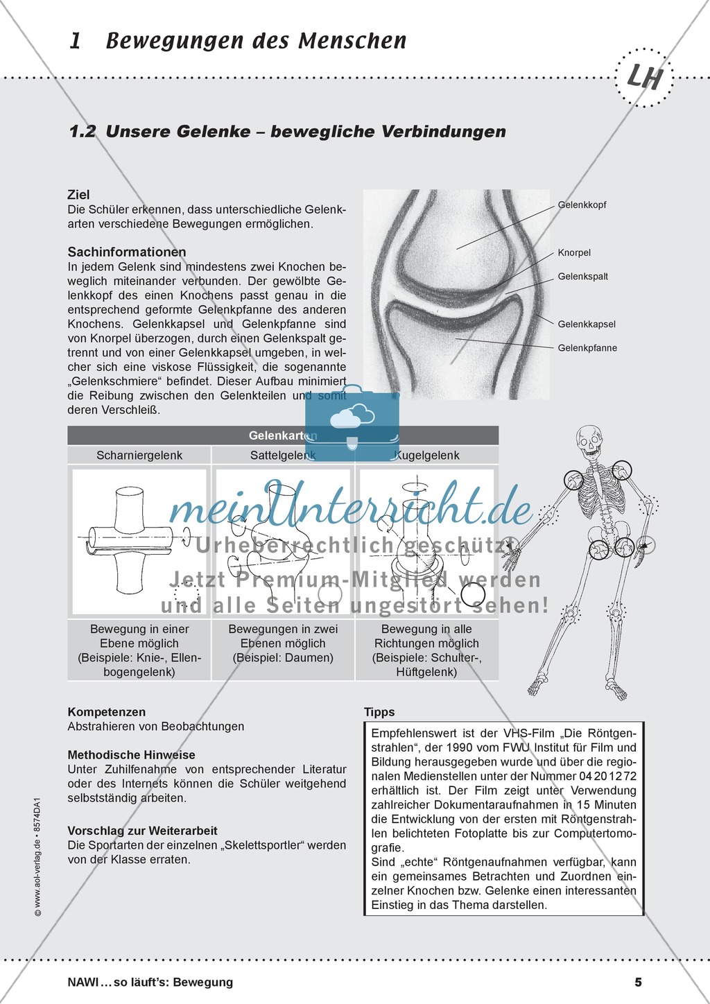 Die Bewegung des Menschen: Lehrerübersicht, Schülermaterial, didaktische Konzeption, Test Preview 5