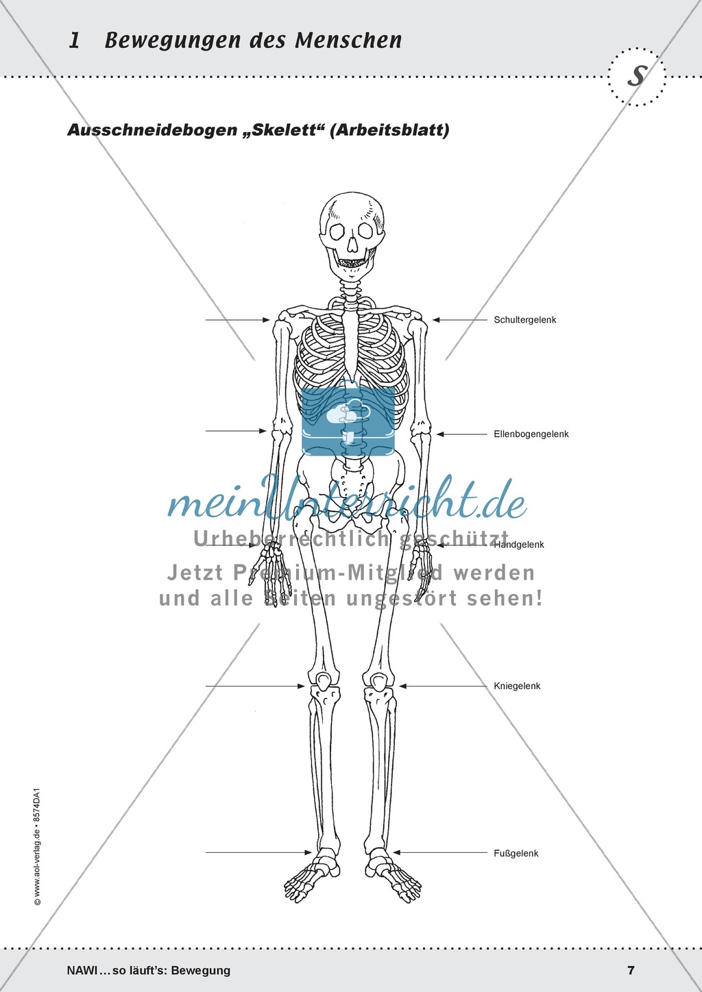 Die Bewegung des Menschen: Lehrerübersicht, Schülermaterial, didaktische Konzeption, Test Preview 7