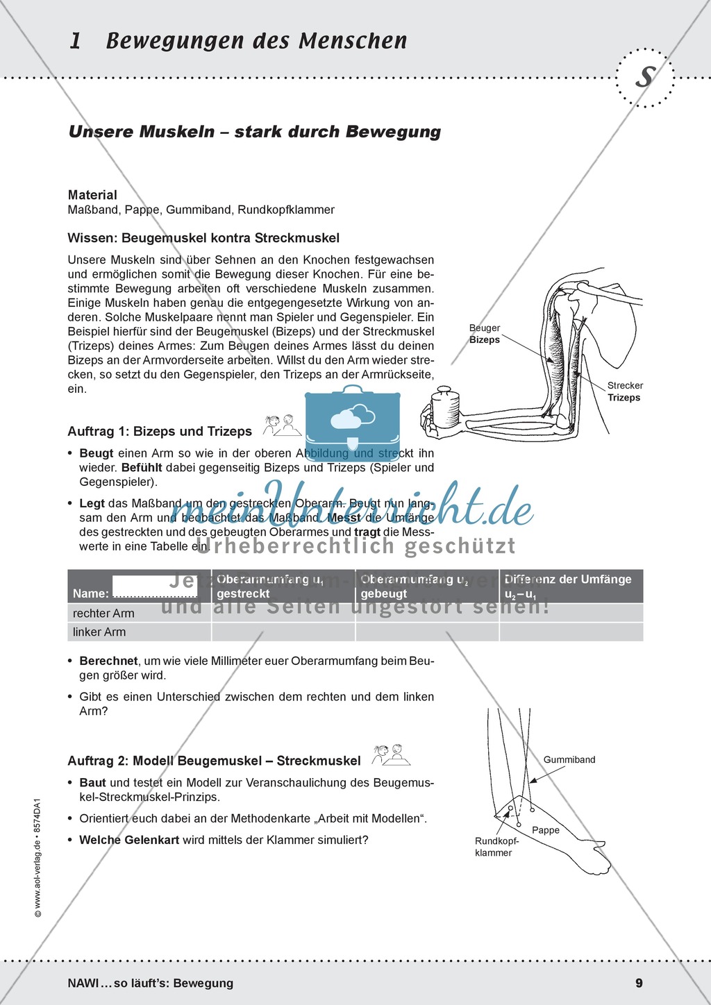 Die Bewegung des Menschen: Lehrerübersicht, Schülermaterial, didaktische Konzeption, Test Preview 9