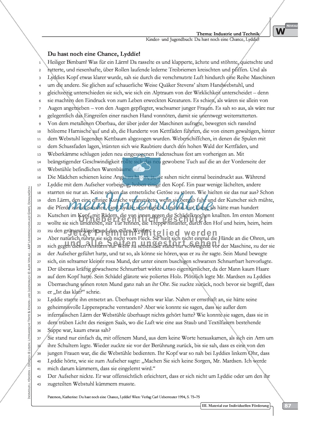 Kinder- und Jugendbuchtexte: "Thema Industrie und Technik - hohes Niveau" Ablauf + Arbeitsmaterial + Test Preview 2