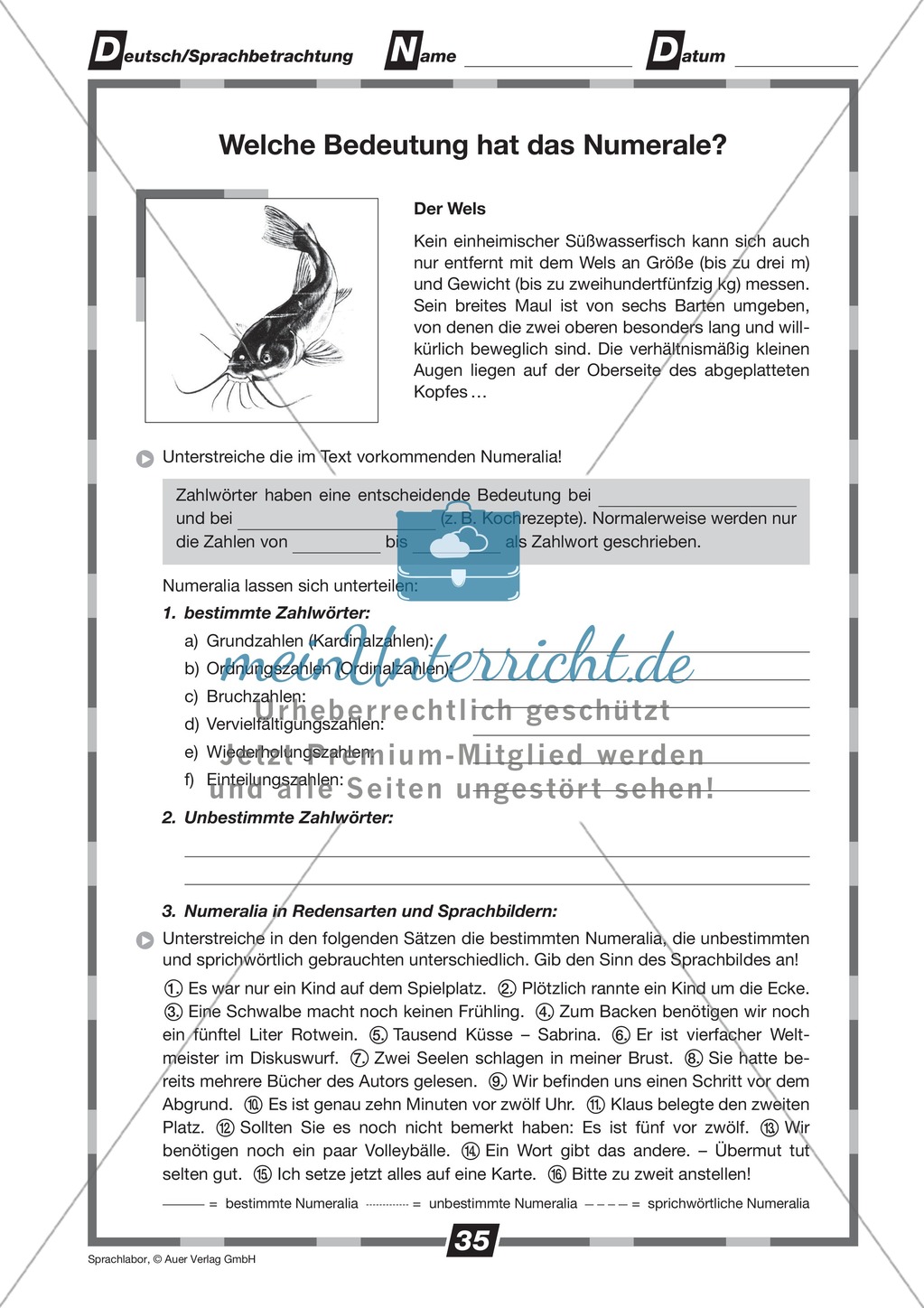 Die Bedeutung von Numeralen: Übungen + Lösungen Preview 1