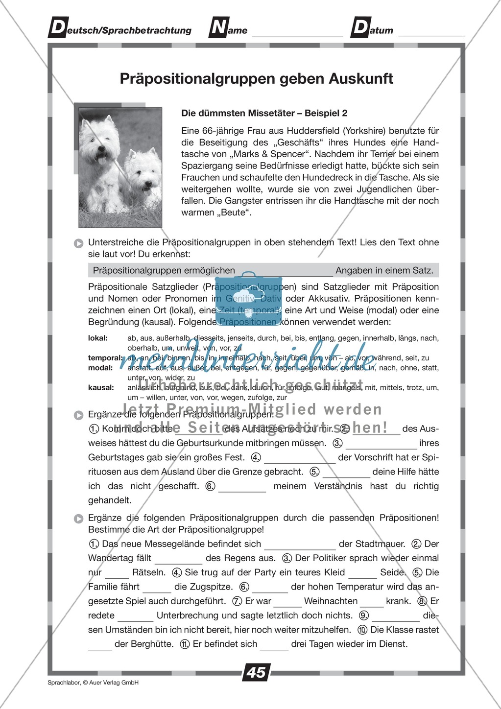 Präpositionalgruppen verwenden: Übungen + Lösungen Preview 1
