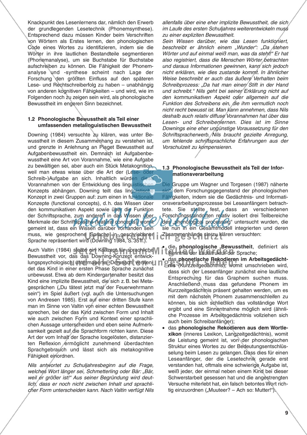 Was ist phonologische Bewusstheit?: Informationstext Preview 2