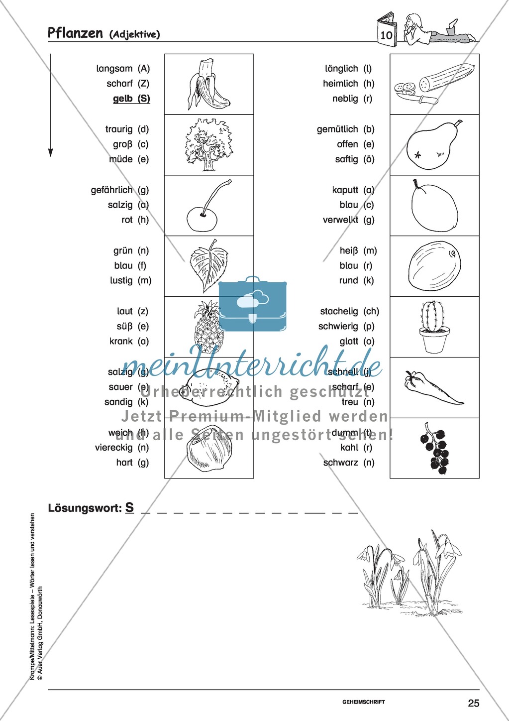 Einzelwörter mit Bild: Spielkarten + Lösung Preview 19