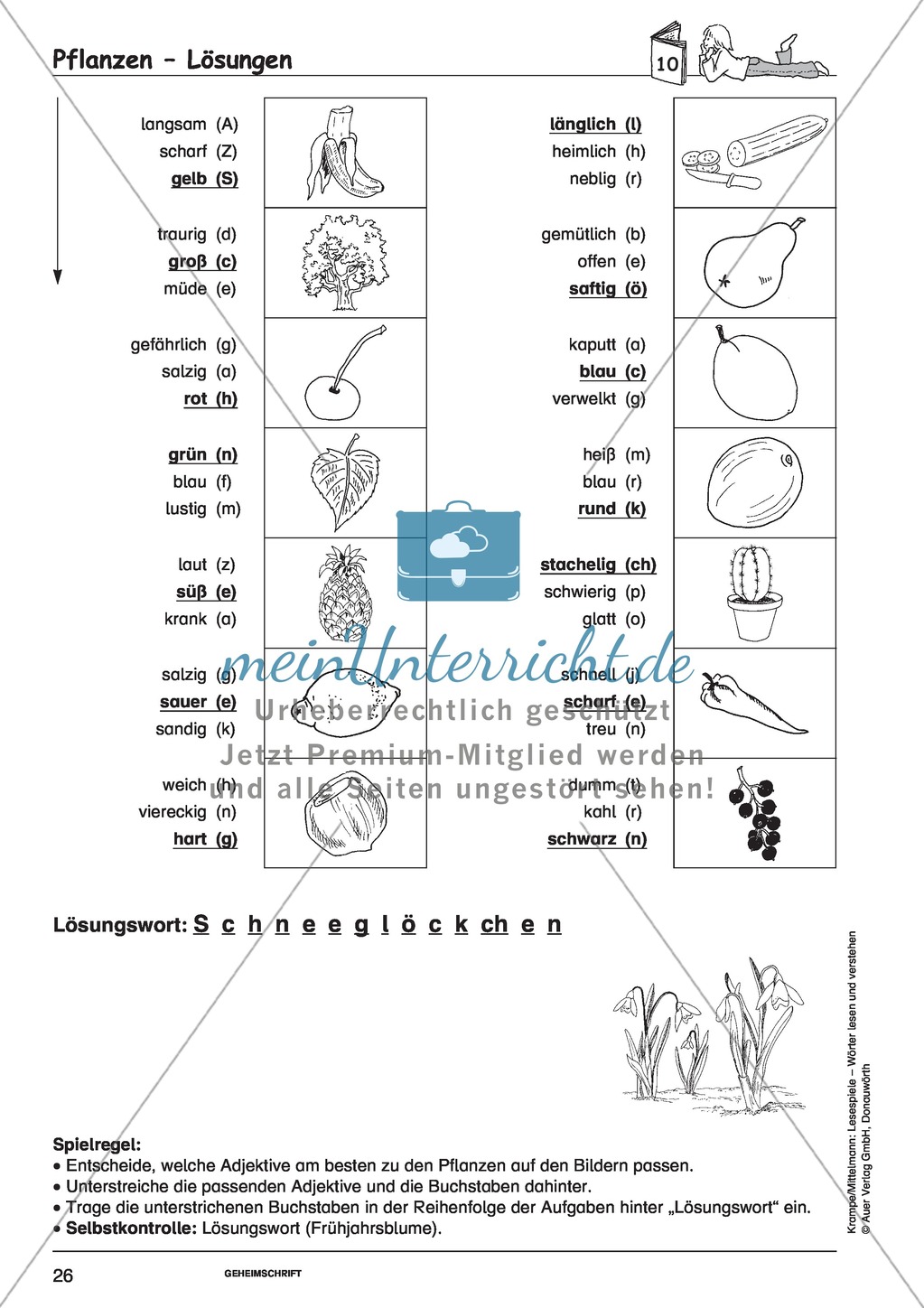 Einzelwörter mit Bild: Spielkarten + Lösung Preview 20